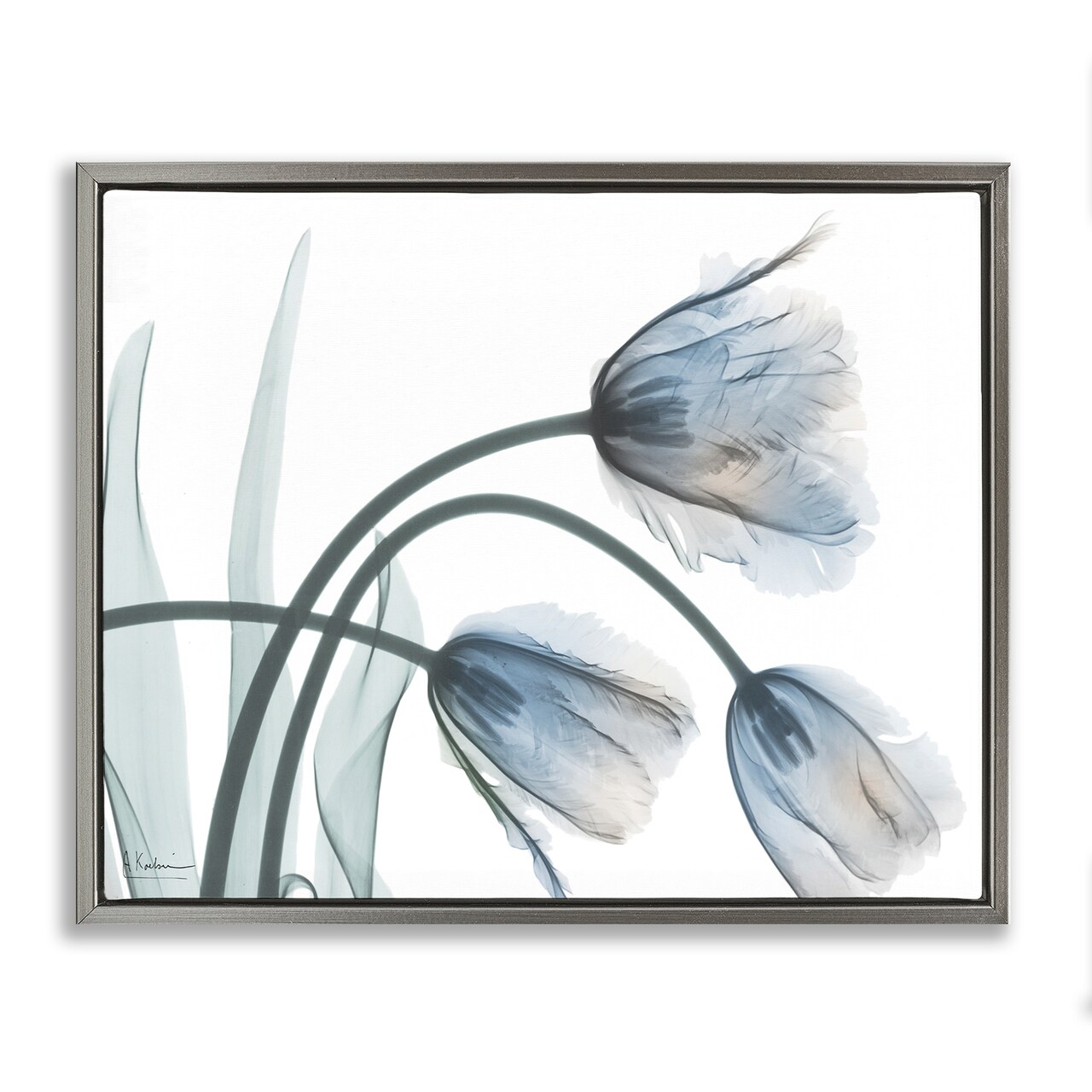Stupell Industries Trendy Mod Tulips Floating Frame Design by Albert Koetsier